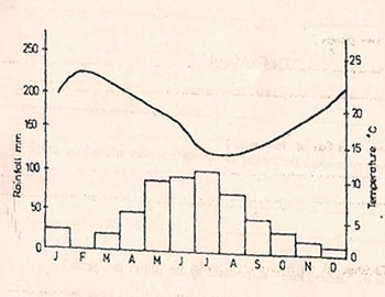 1998sst-graphno32