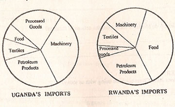 2002sstpaper-piechartcropsrwandauganda